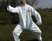 Taiji v Mostě