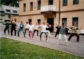 Sedmihorky 1999